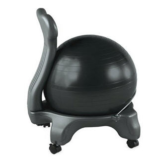 Gaiam Balance Ball Chair